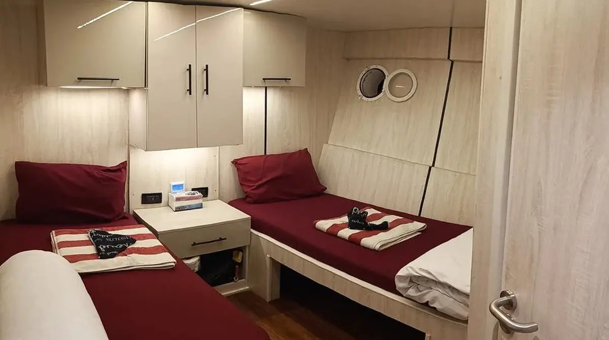 Standard Lower Deck